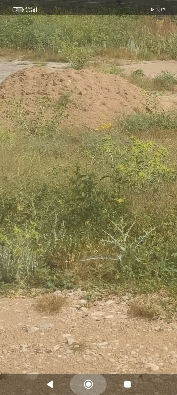زمین معاوضه با طلا