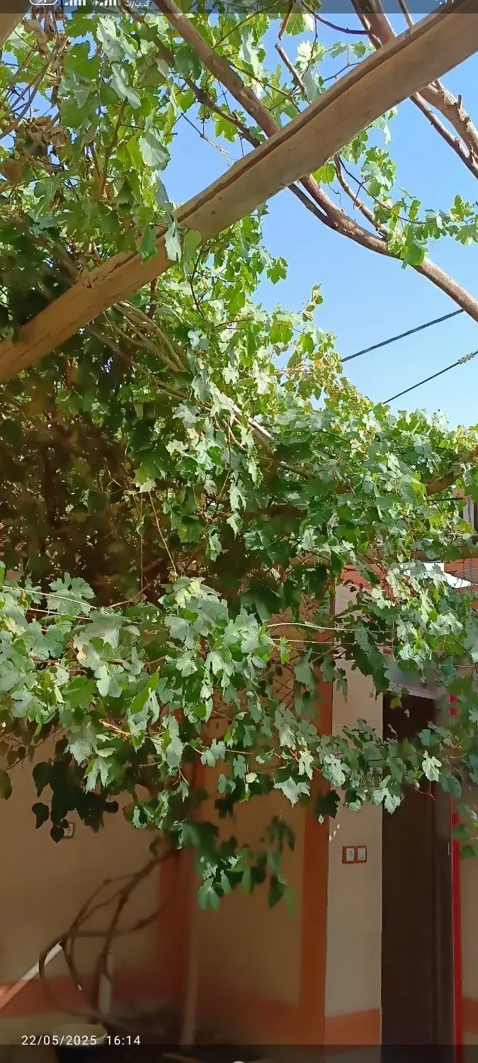 منزل ویلایی امام خمینی هفت
