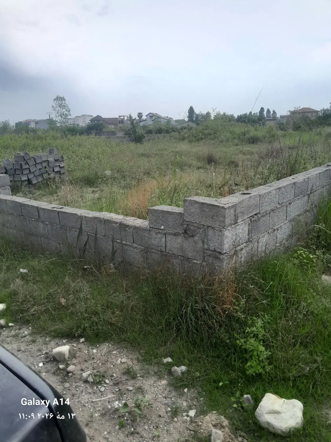 زمین ۶۵۰ متری چالوس