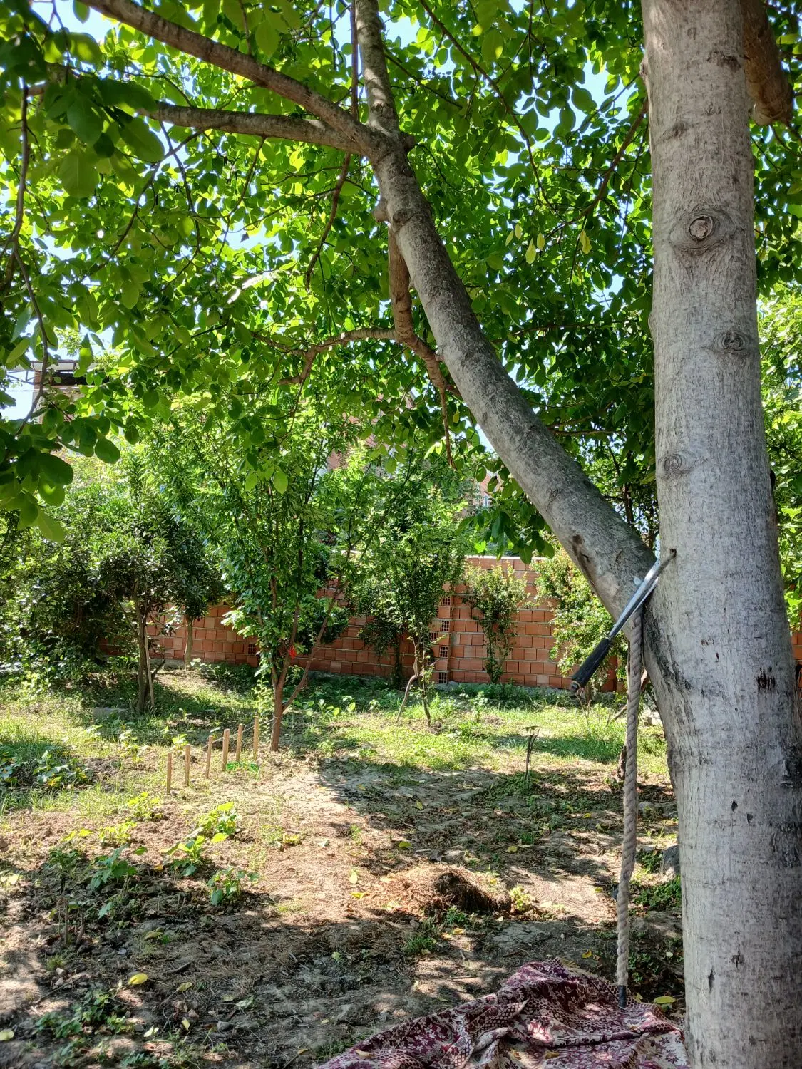 زمین خانه سرا