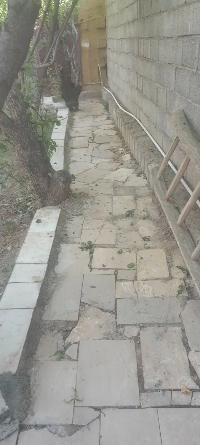 باغ اجاره یکساله بامیوه