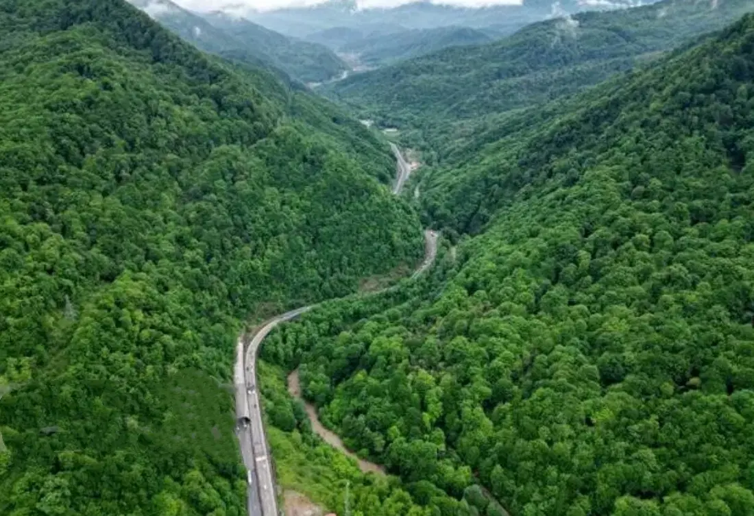 زمین سوادکوه مهد جنگلای هیر.کانی سرمایه گذاری امن