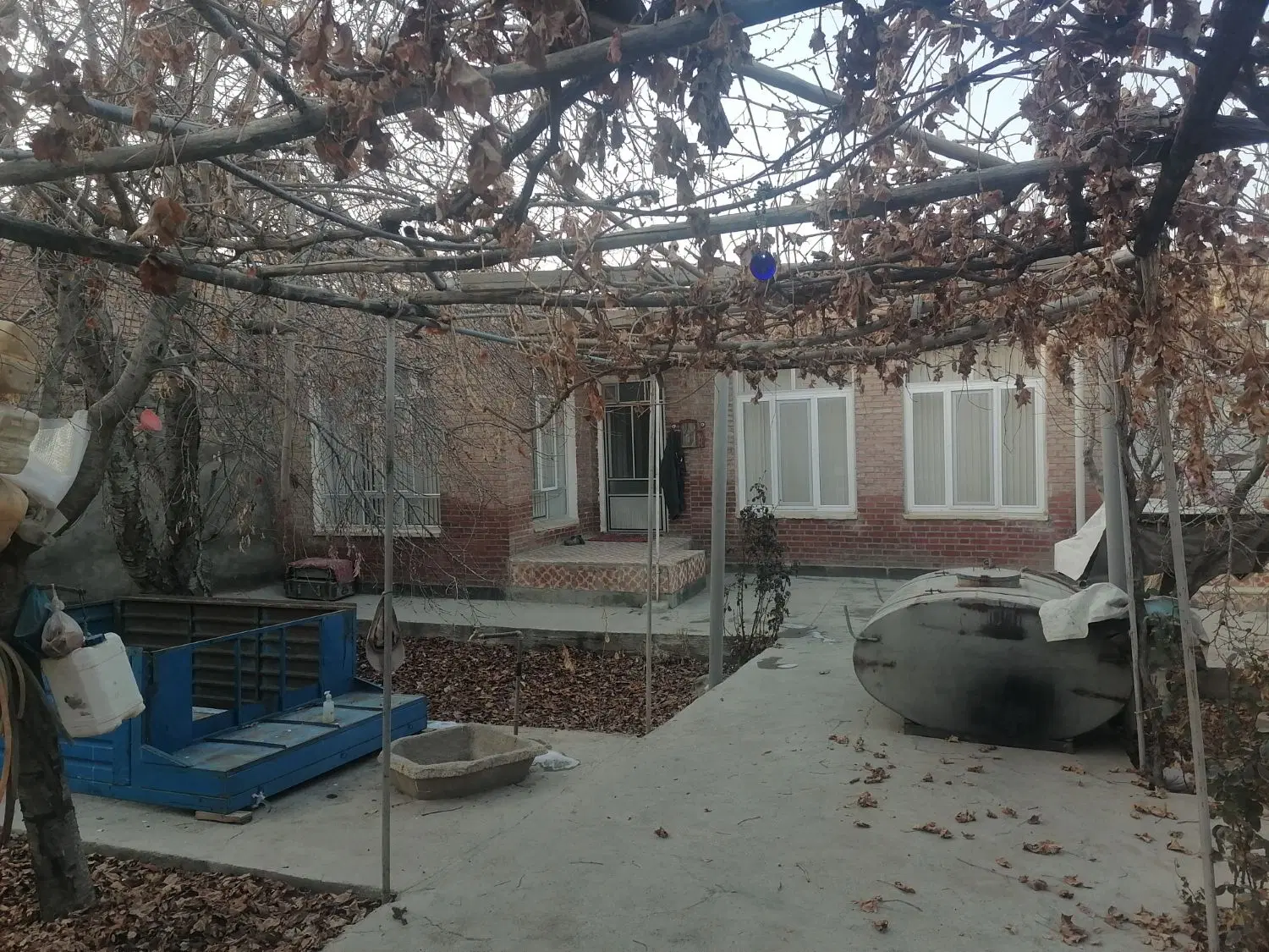 حیاط