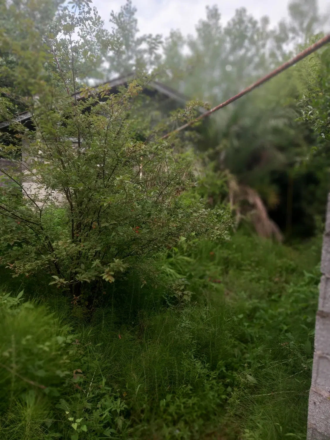 ۳۵۰ متر زمین با بنا کلنگی ۸۰ متر