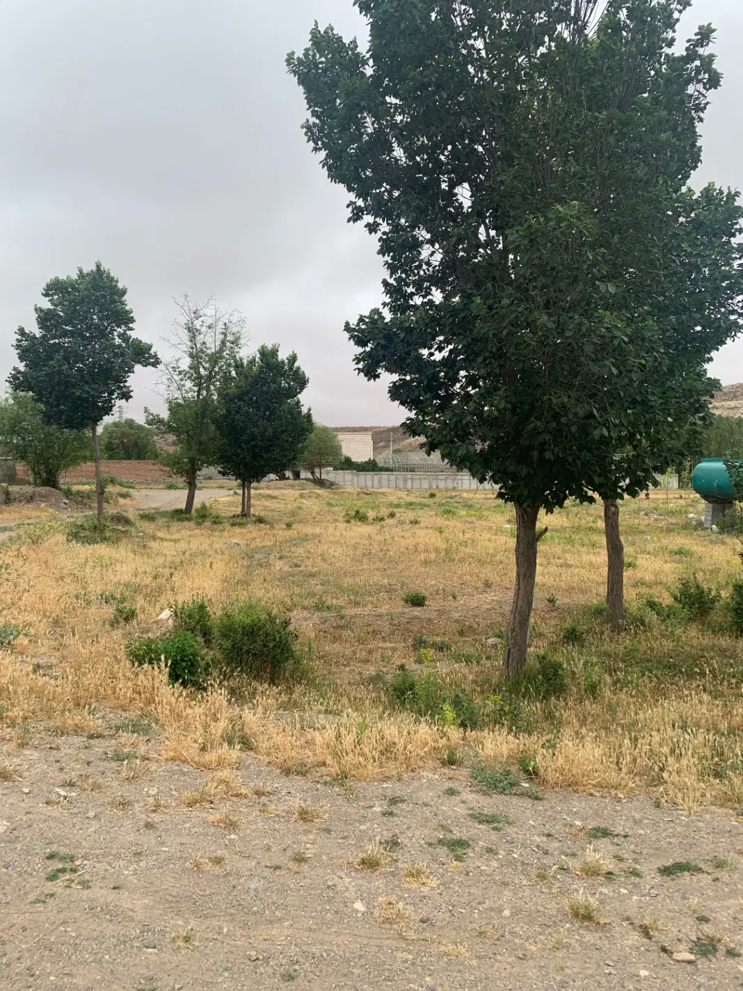 زمین روستایی  جهت باغ ویلا سرمایه گداری مطمئن