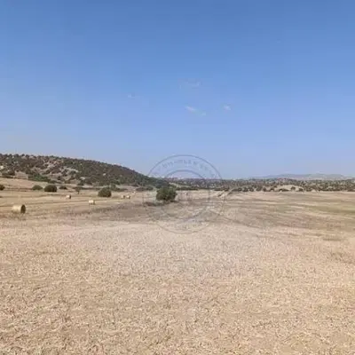 باکمترین نقدینگی صاحب زمین شوید...