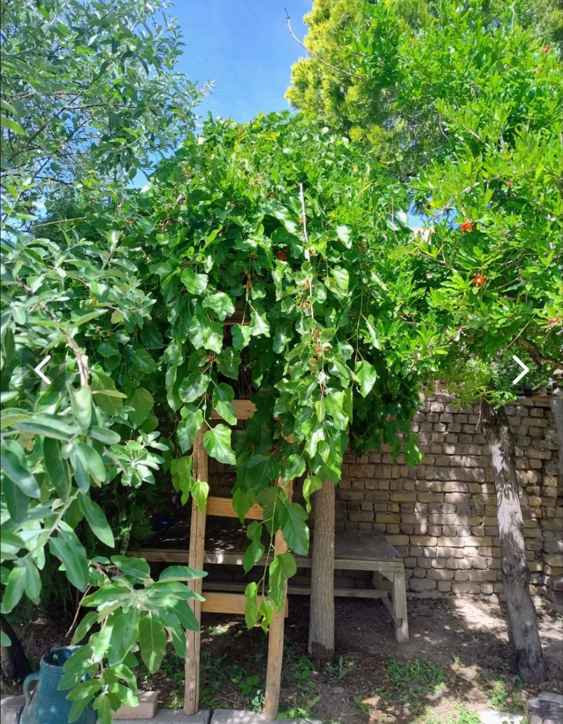 اجاره ویلا مبله