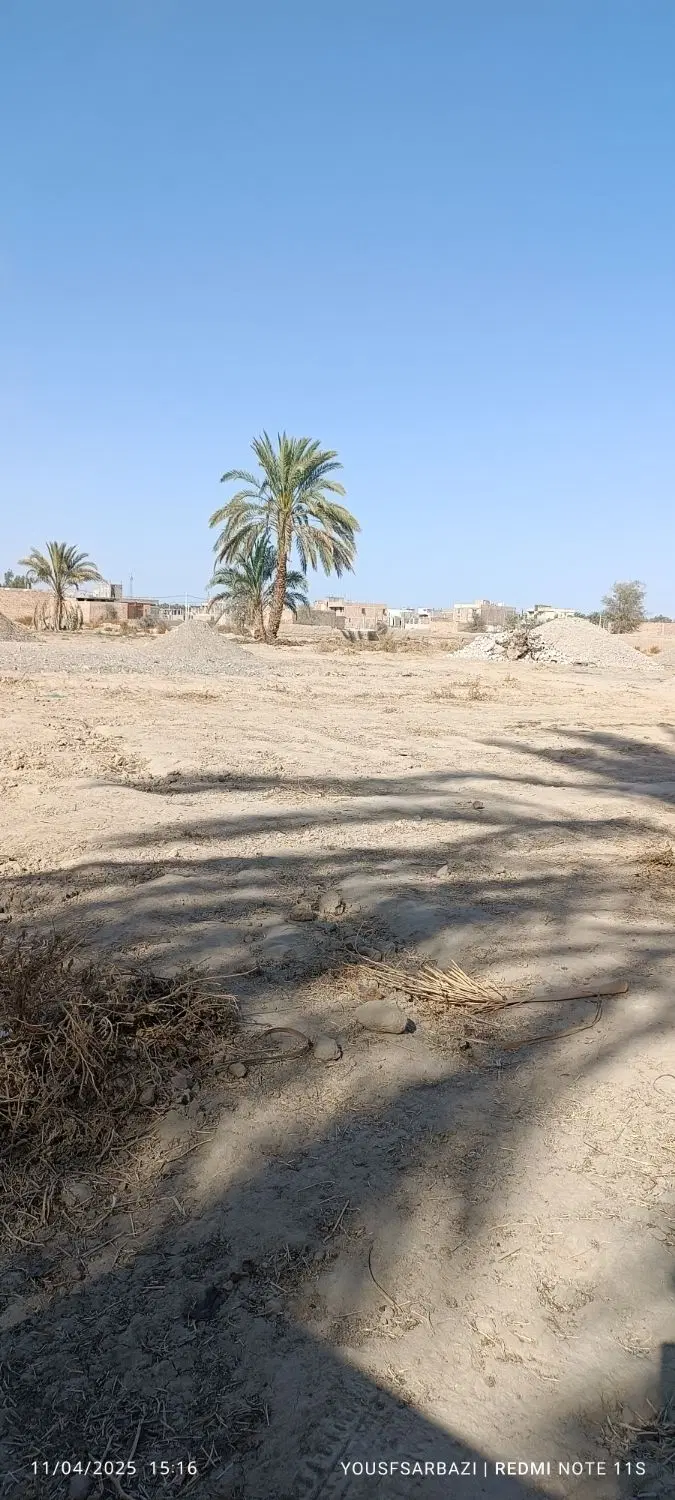 زمین در ایرانشهر کلینک تاج محمد خانی