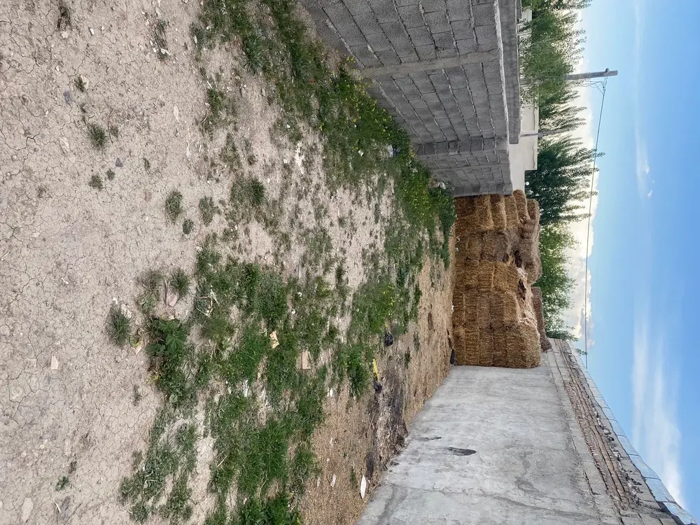 زمین مسکونی عدالت آباد ۱۲۲ متر و نیم