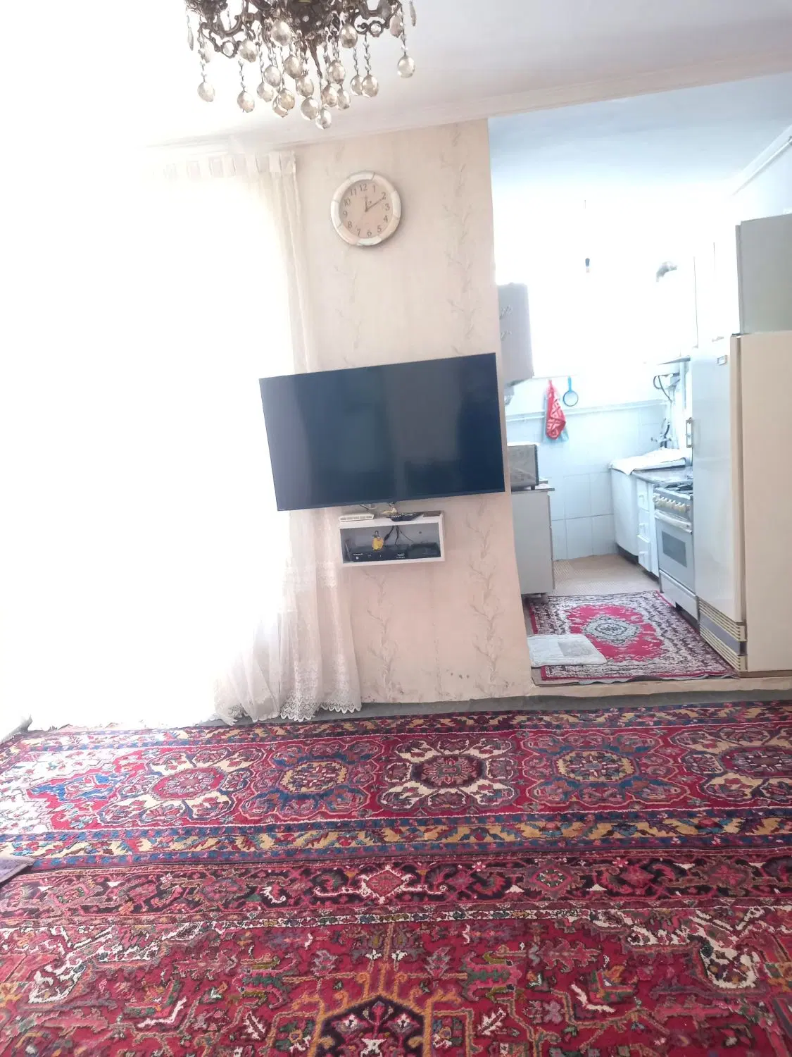 حیات
