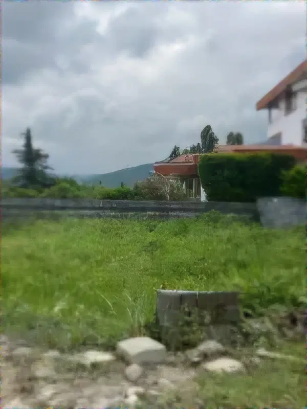 زمین در شیرگاه روستای چالی