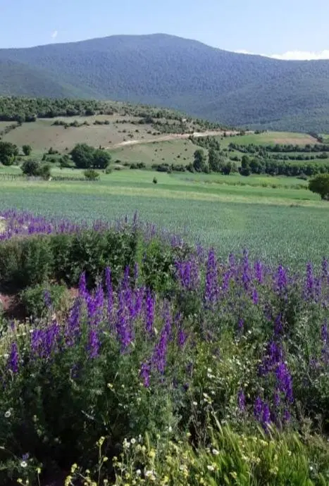 فروش زمین در مازندران شهر پول