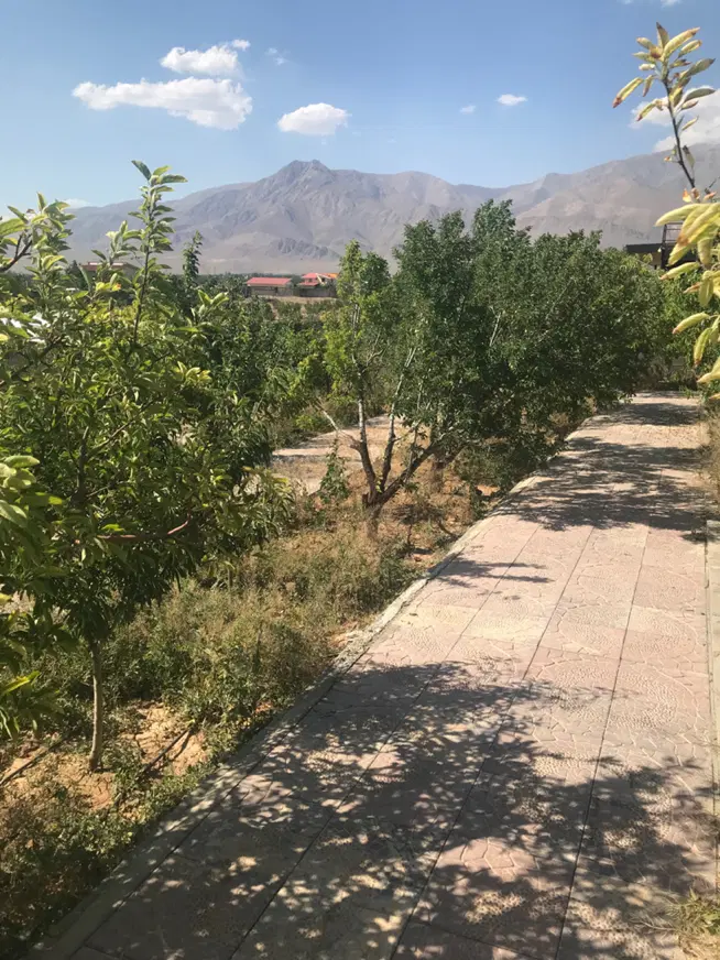 ۱۵۵۰متر باغچه نیم ساعت اب کشاورزی