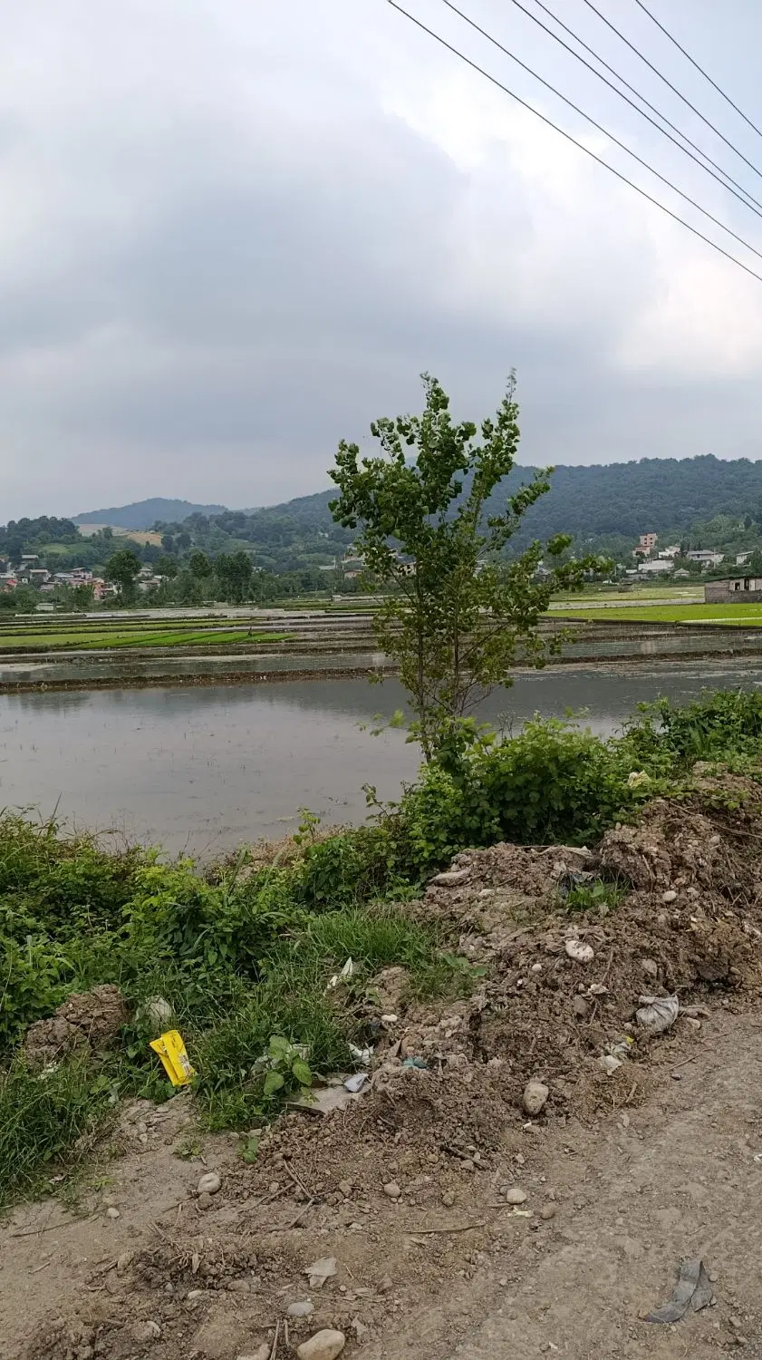 سرمایه‌گذاری طلایی _ ۲۱۱۰ متر زمین