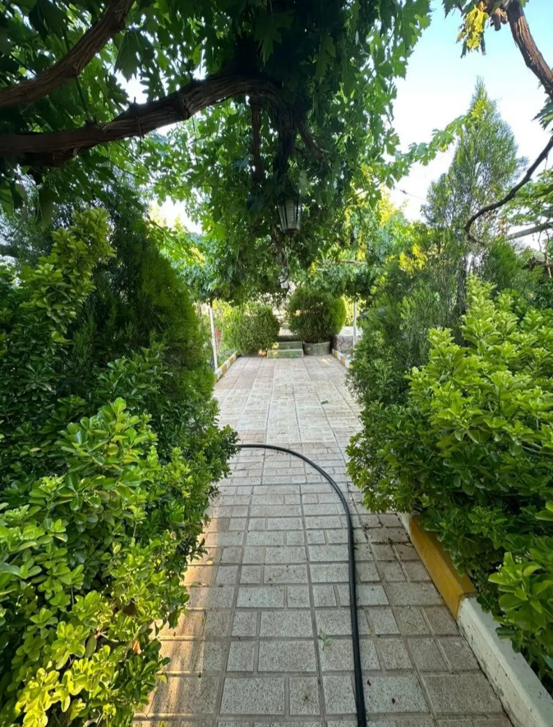 باغ ویلا