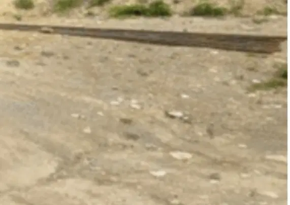 مسکن ملی