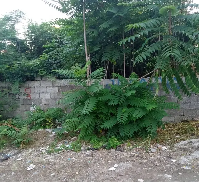 زمین ۵۸۰ متری_ پستک