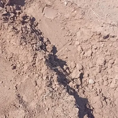 هشت قصب زمین در حسین ابادی خان