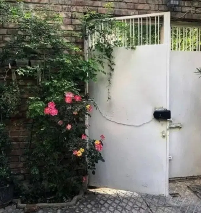 همخونه