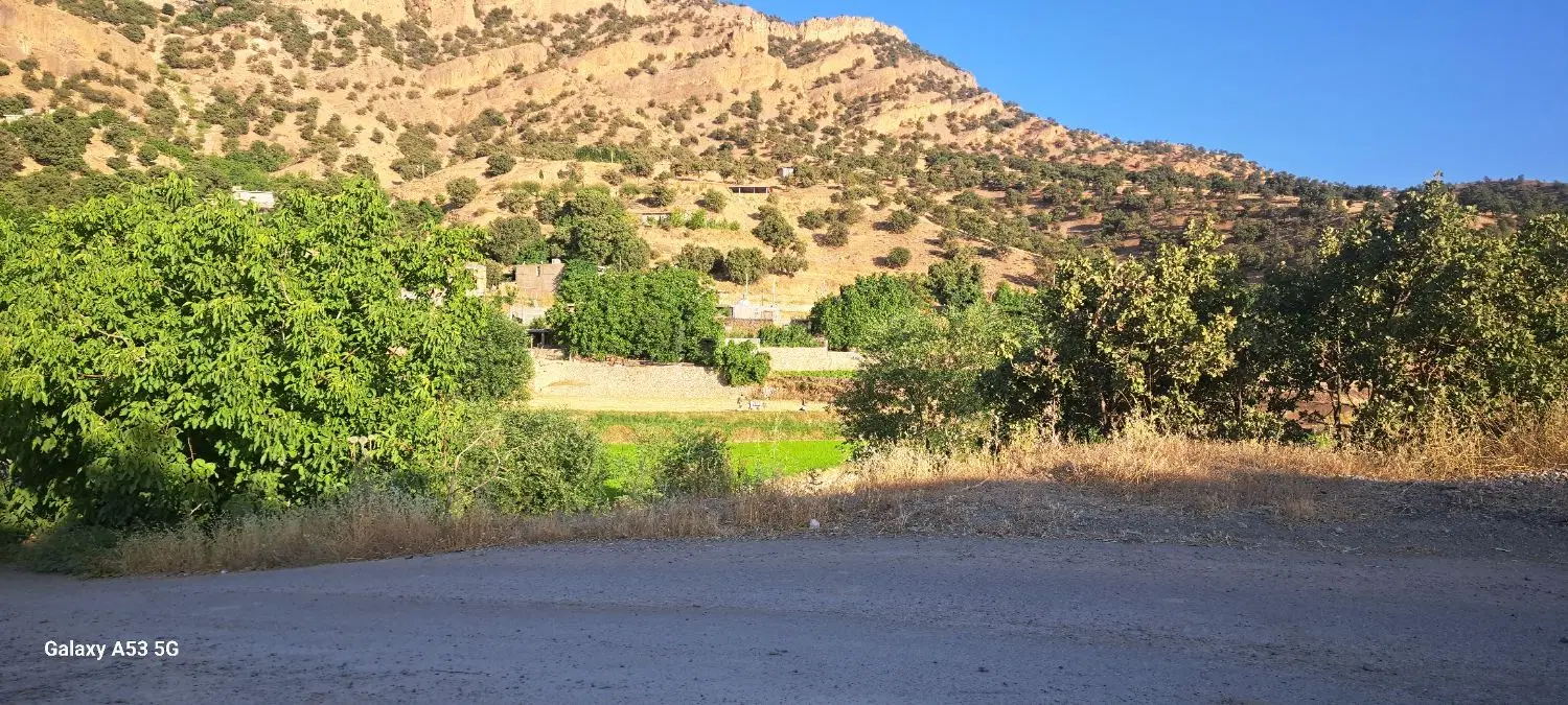 زمین مهریان