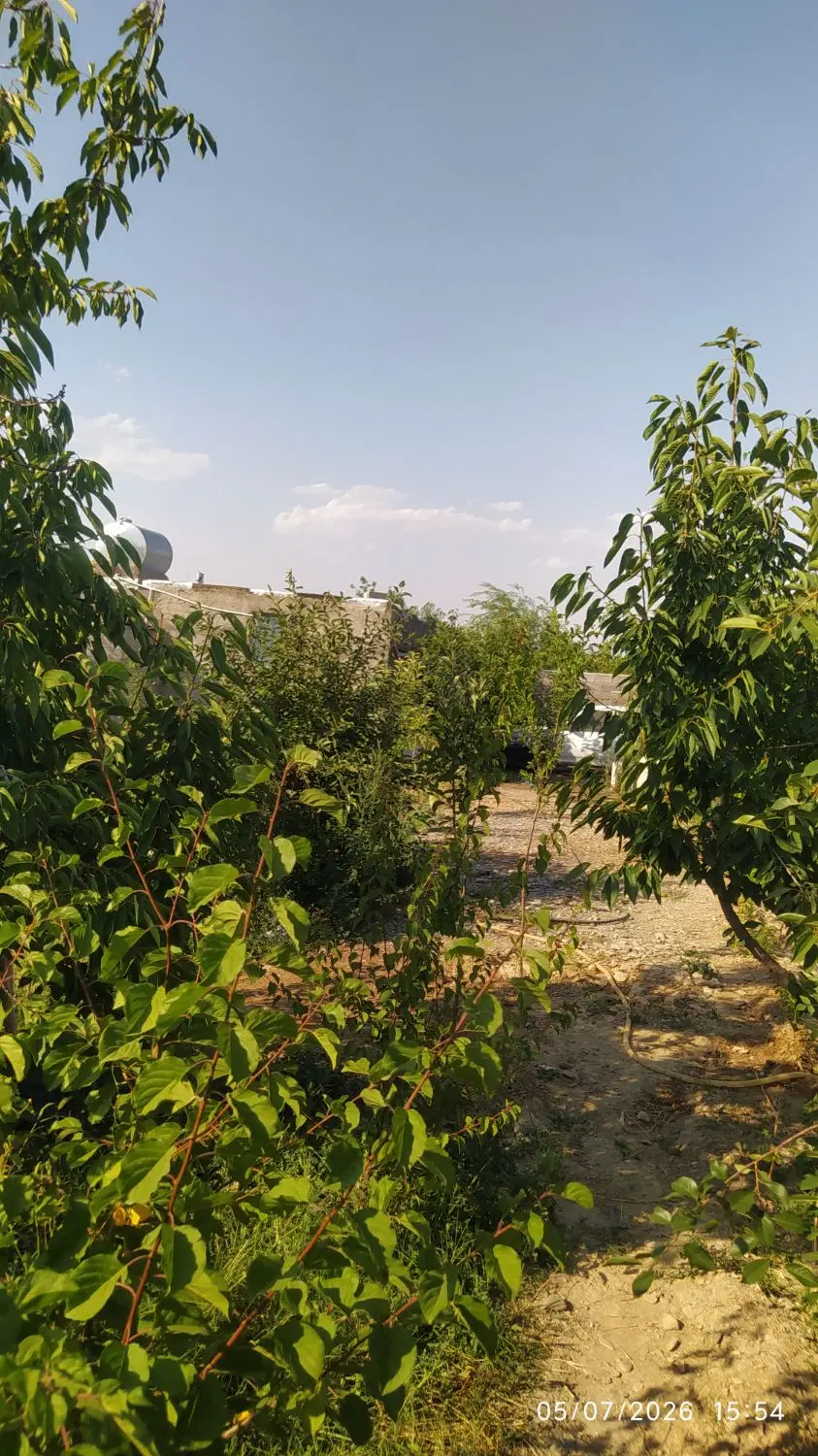 باغ ویلای بهترین موقعیت مکانی