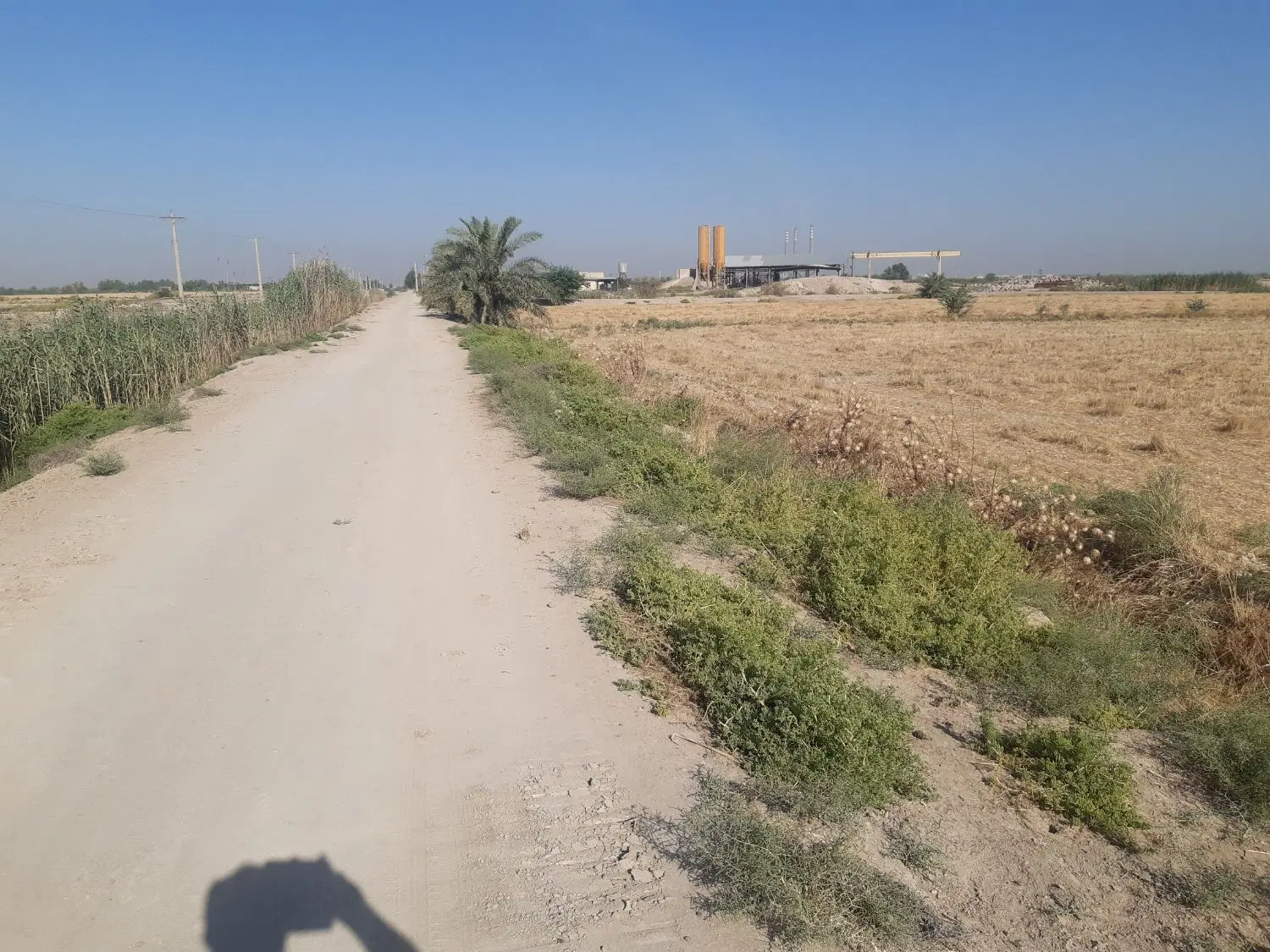 دو و نیم هکتار زمین کشاورزی آبی با قیمت مناسب