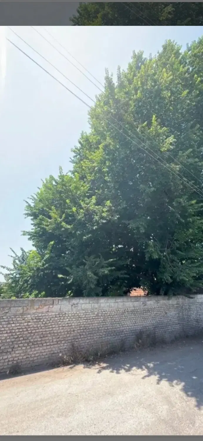 زمین واقع در روستای دریک ساری