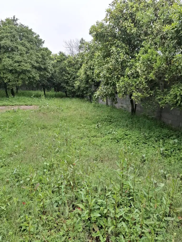 زمین مسکونی شمال سند دار