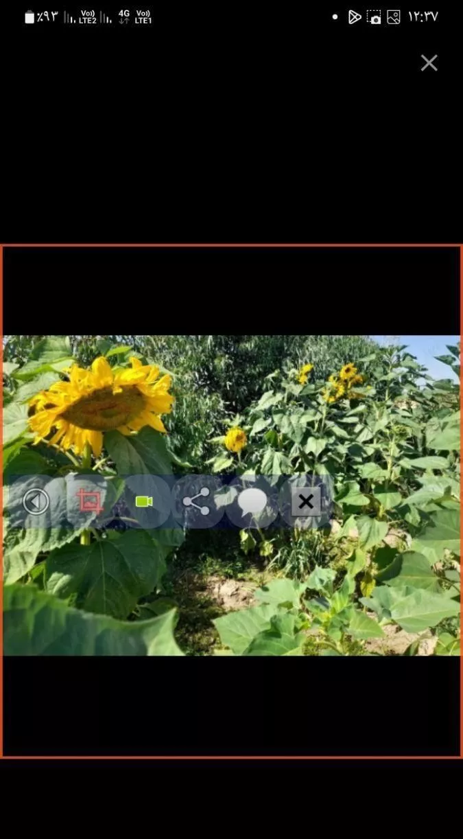زمین کشاورزی ۸ هکتار سند ثبتی تک برگ با چاه آب