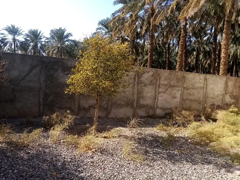 زمین مسکونی