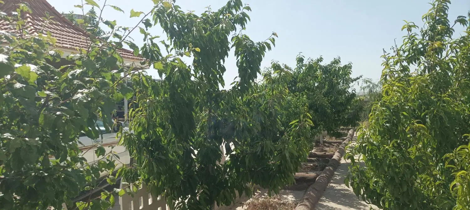 باغ 1020 متری پارسیان