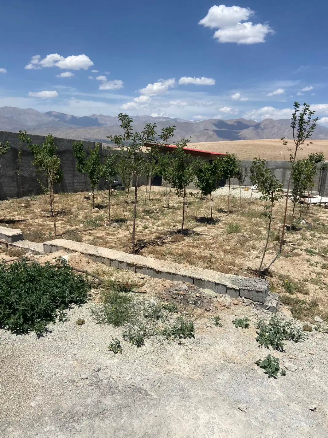 باغچه دماوند هاشمک