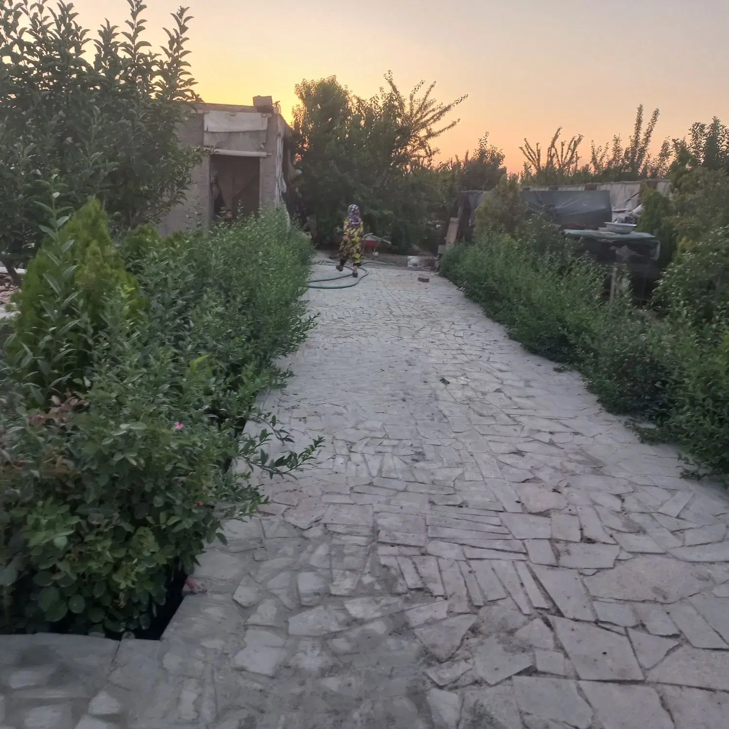 باغ پر گل ودرخت