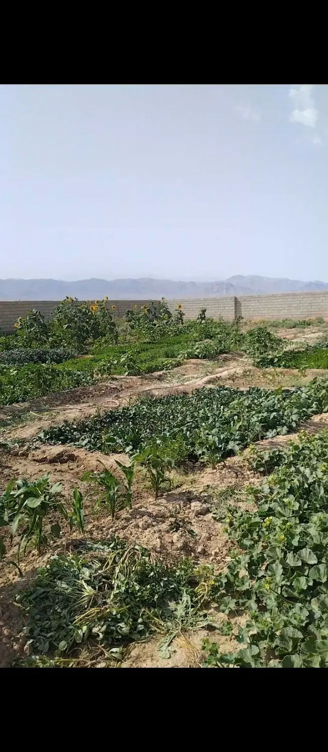 باغ و دامداری