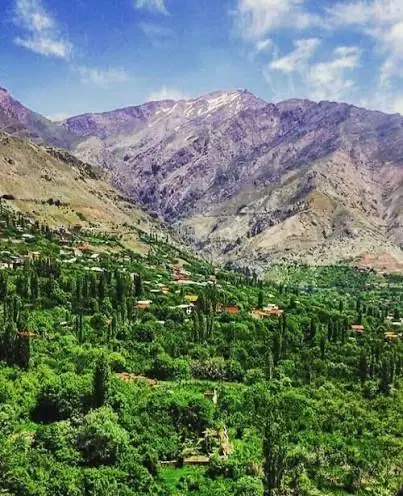 زمین سند دار دارکیا