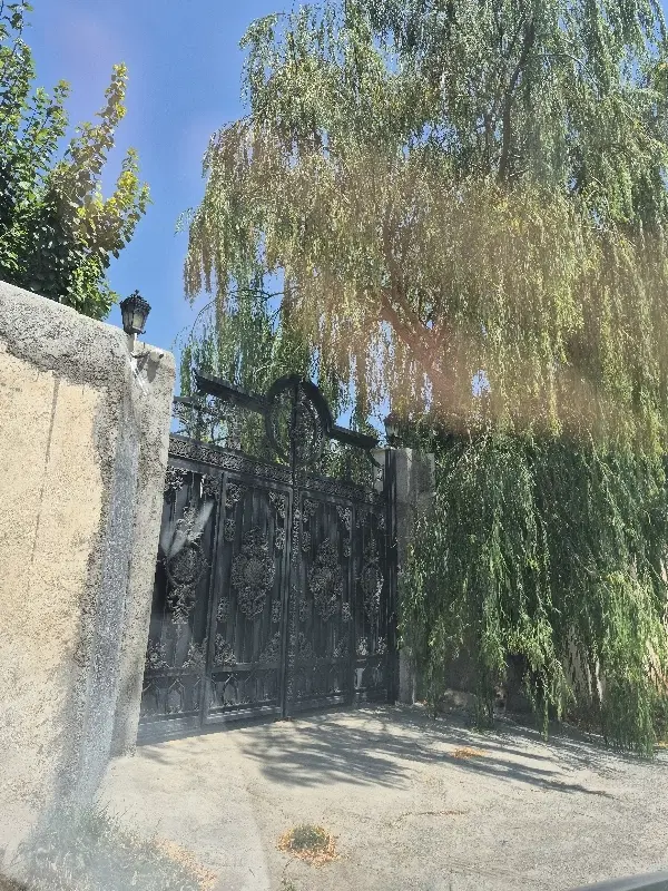 ۱۰۰۰ متر باغ سند تک برگ رسول اکرم بکه