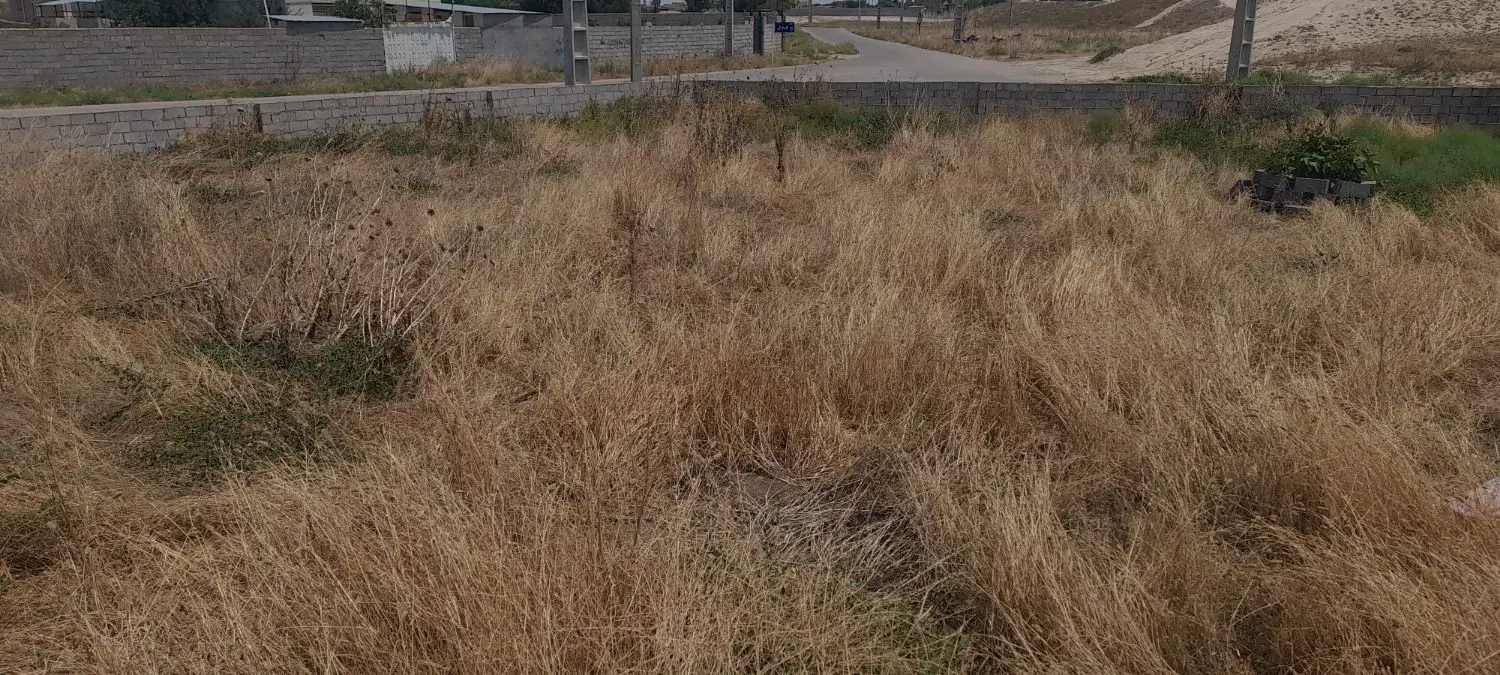 سلام زمین مسکونی واقع در روستای سلطانعلی