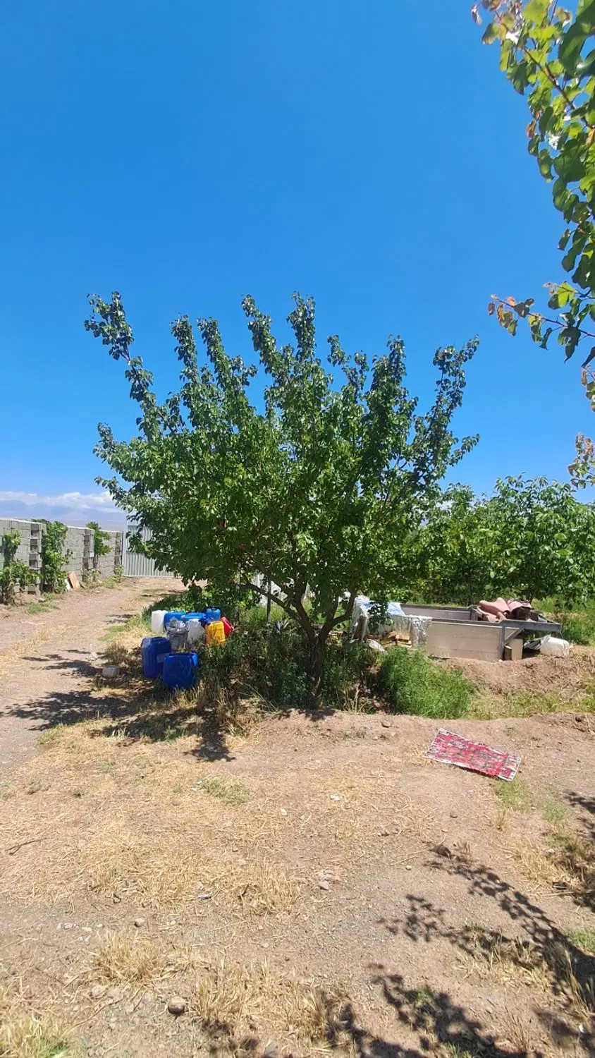 باغ در روستای بهرام