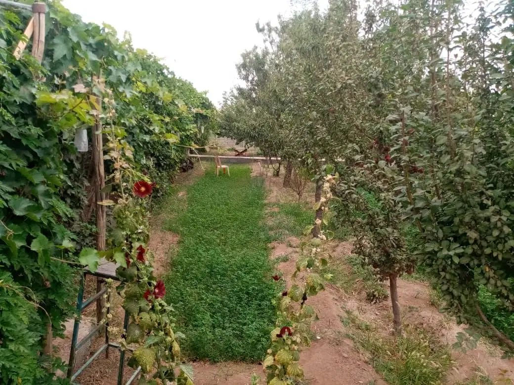 باغ در باقرآباد