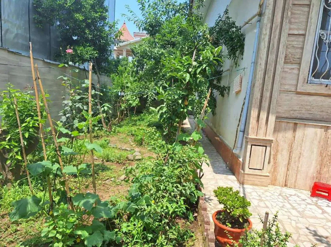 ویلا قیمت مناسب در منطقه شهری و دنج