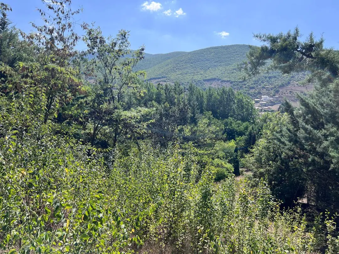 زمین سنددار  شهرکی کندلوس