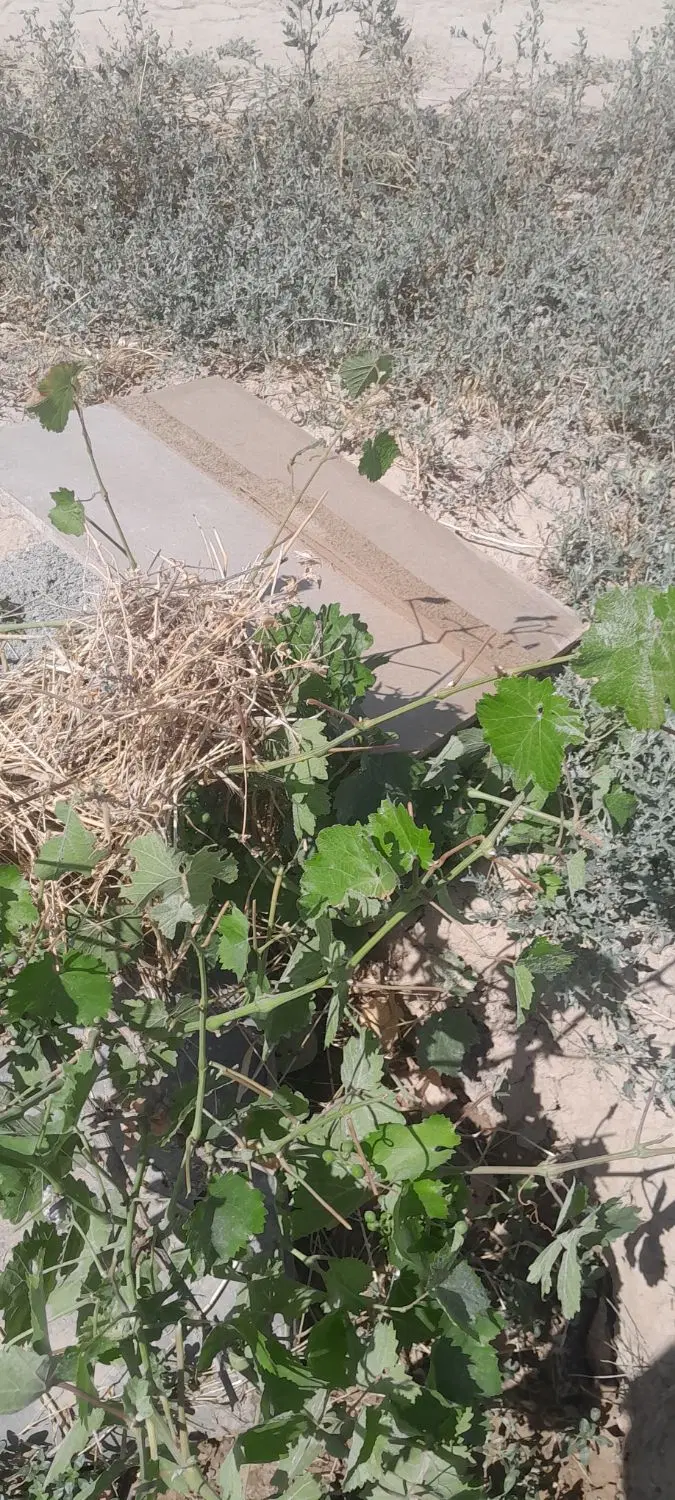 زمین فروشی