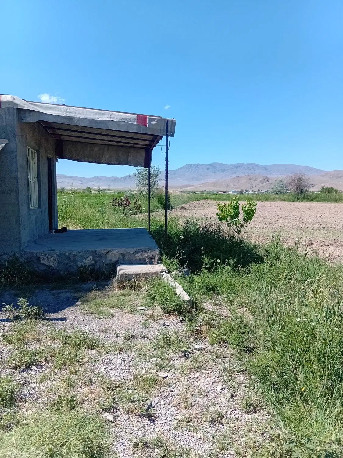 زمین کشاورزی