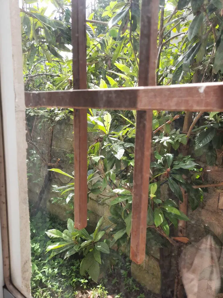 خونه