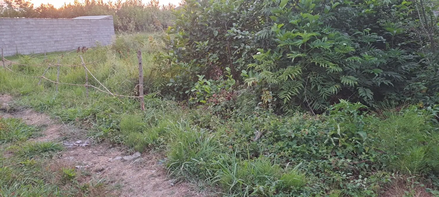 زمین مسکونی به متراژ 240متر