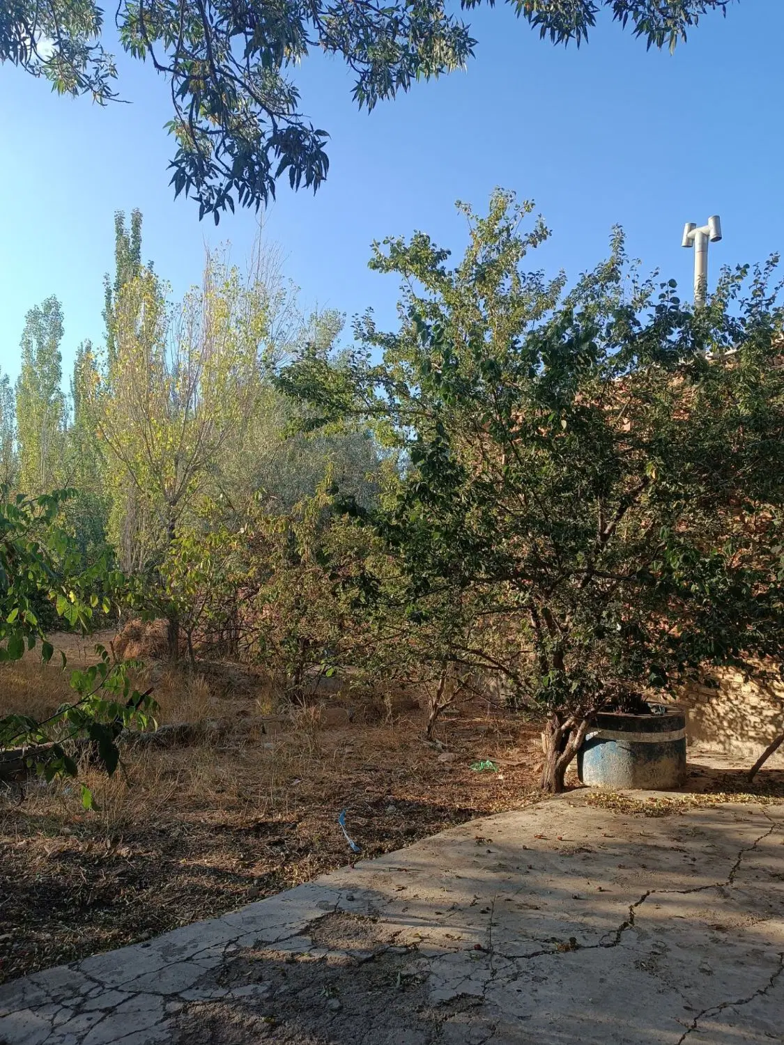 باغ زیبا وسرسبز در اسپیران