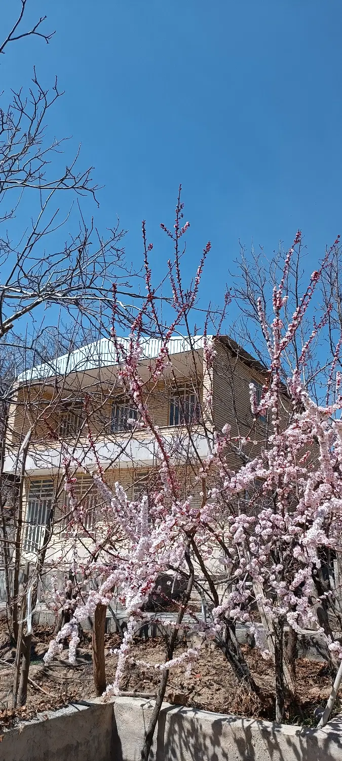 خونه باغ بنادک سادات