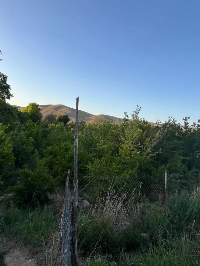 باغ روستای رازین