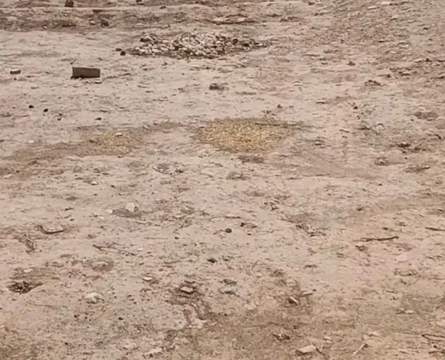 زمین جوانی جمعیت