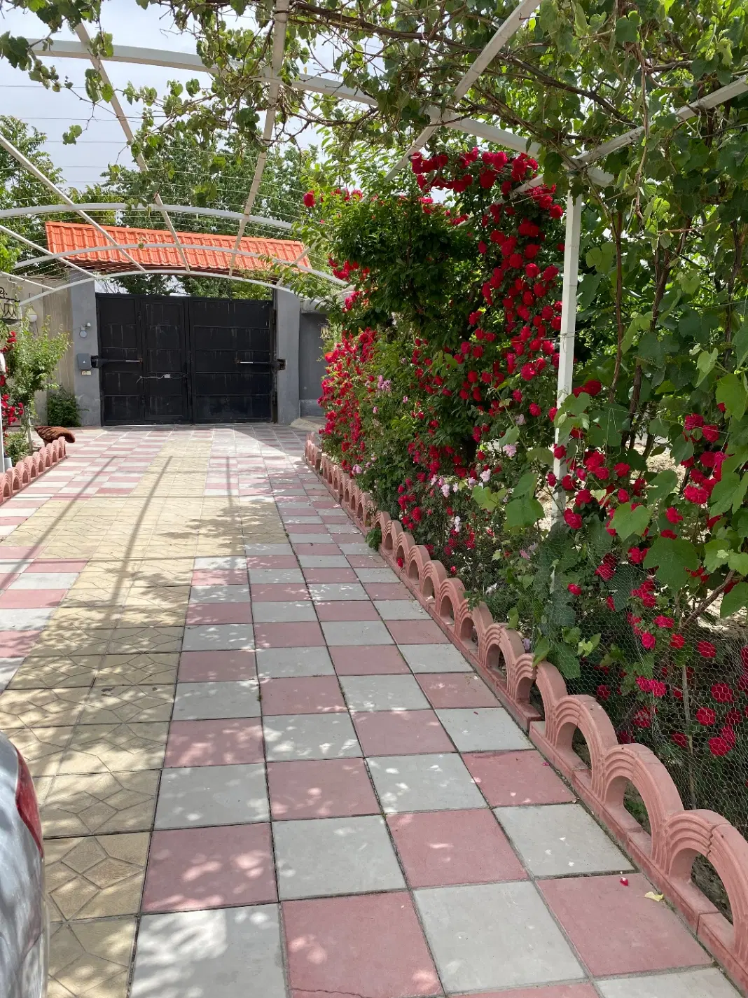 باغچه دنج و خوش‌موقعیت با آب و برق